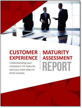 Customer Experience Maturity Assessment Report
